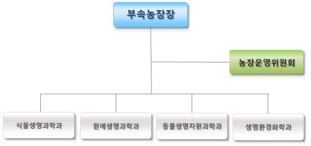 조직도