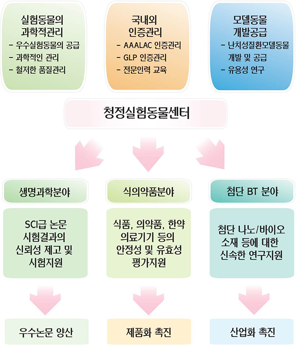 기대효과